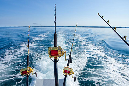 рыбалка на Черном море